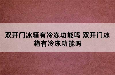 双开门冰箱有冷冻功能吗 双开门冰箱有冷冻功能吗